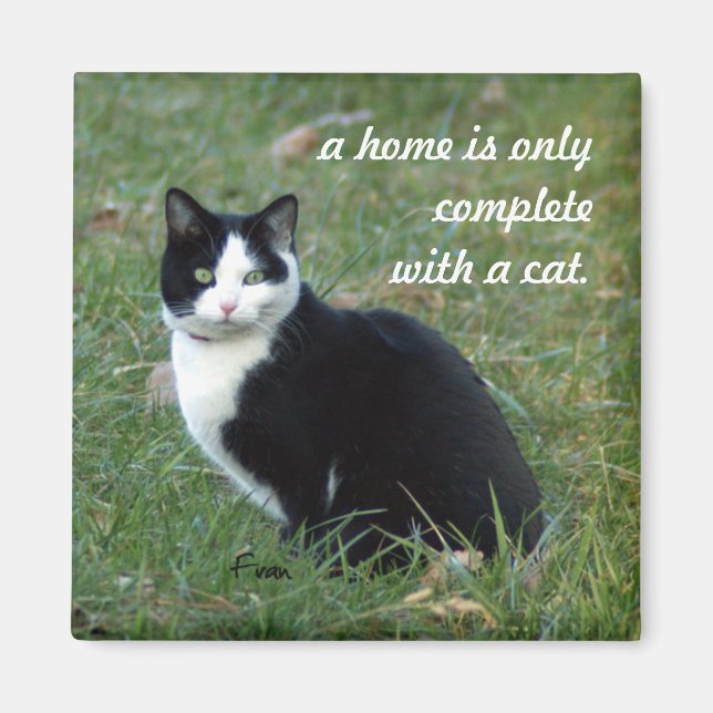 cat wisdom magnet (Front)