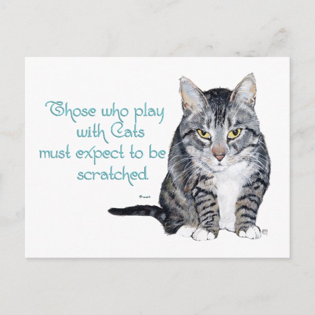 Cat Wisdom - Playing to be Scratched? Postcard (Front)