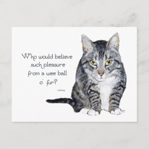 Cat Wisdom - Who would believe? Postcard
