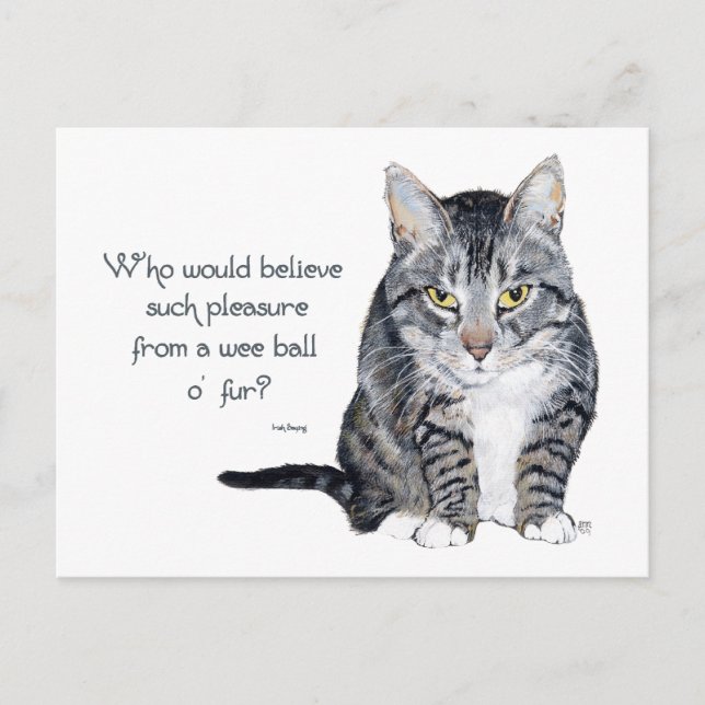 Cat Wisdom - Who would believe? Postcard (Front)