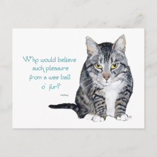 Cat Wisdom - Who would believe? Postcard