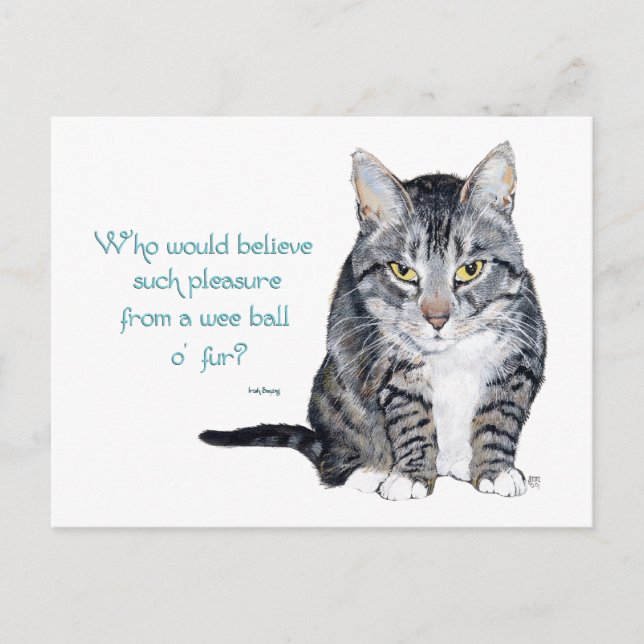 Cat Wisdom - Who would believe? Postcard (Front)