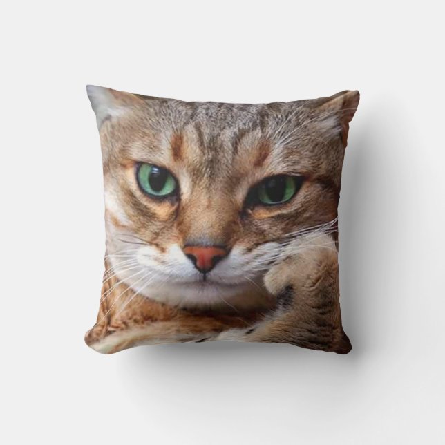 cat with attitude cushion (Front)
