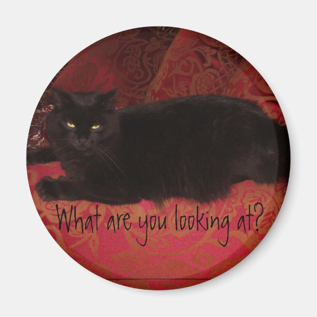 Cat with Attitude Magnet (Front)