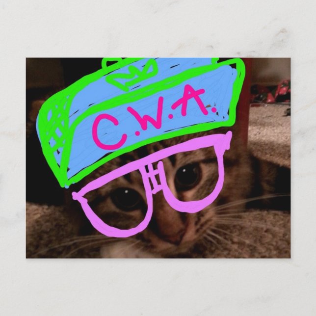 Cat with Attitude Postcard (Front)