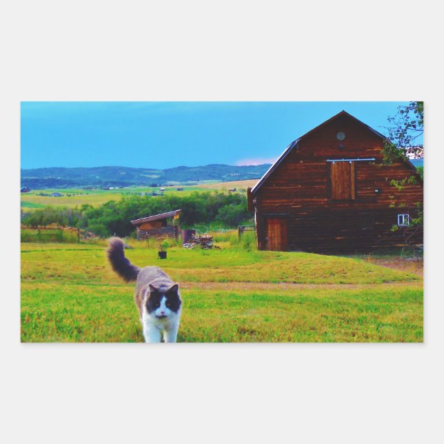 Cat with Barns Rectangular Sticker (Front)