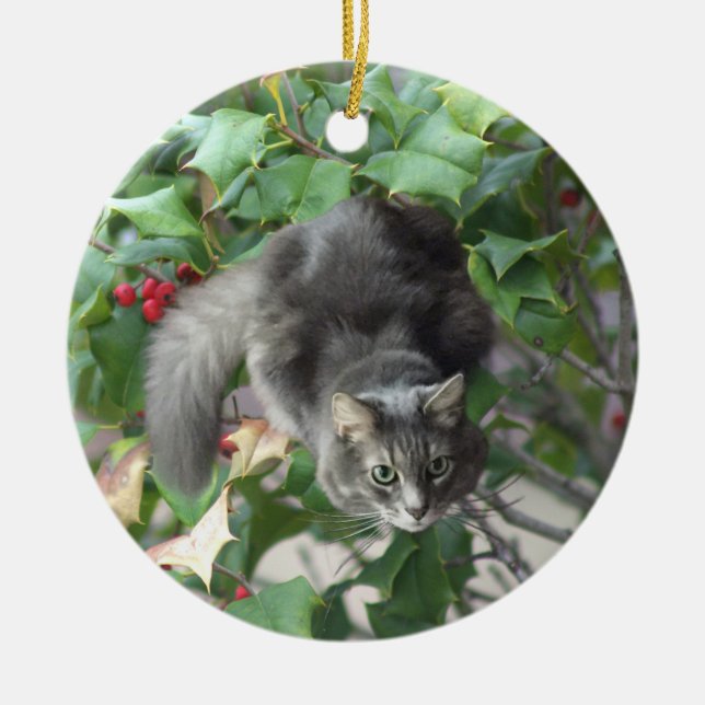Cat with Berries Holly Ornament (Front)