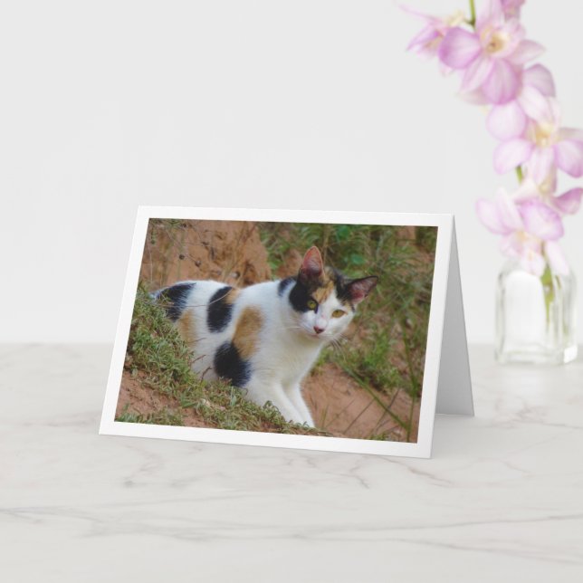 Cat with Calico Pattern Card (Orchid)