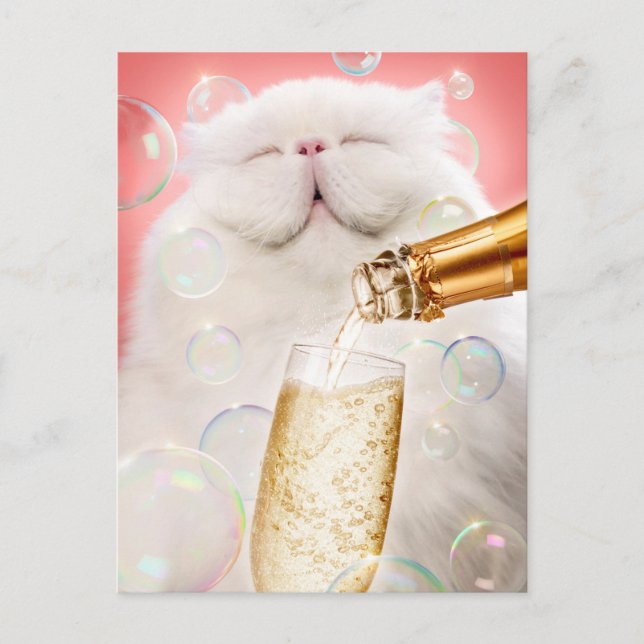 Cat With Champagne Invitation Postcard (Front)