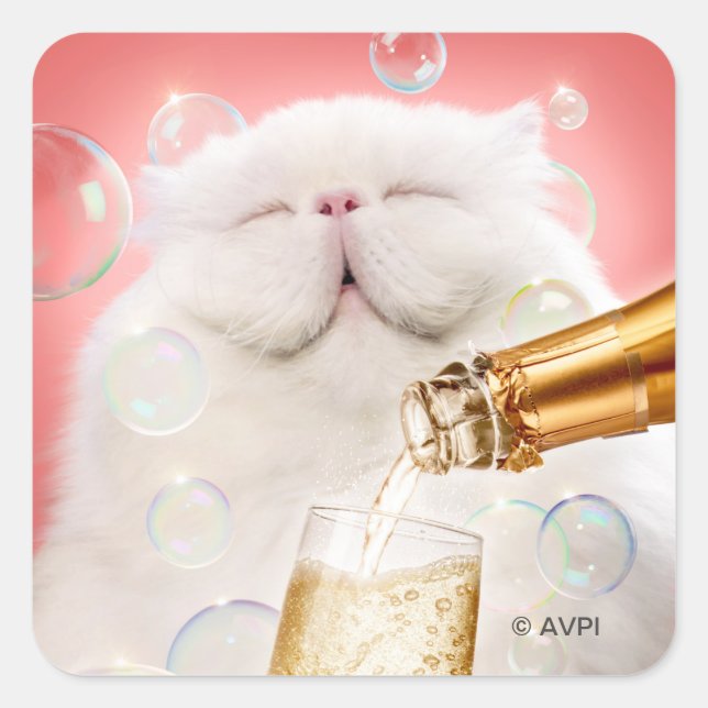 Cat With Champagne Square Sticker (Front)