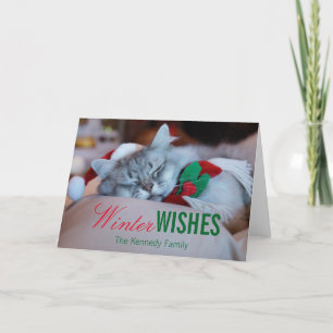 Cat with christmas hat and scarf, sleeping cat holiday card