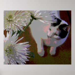 Cat with Chrysanthemums fine art print