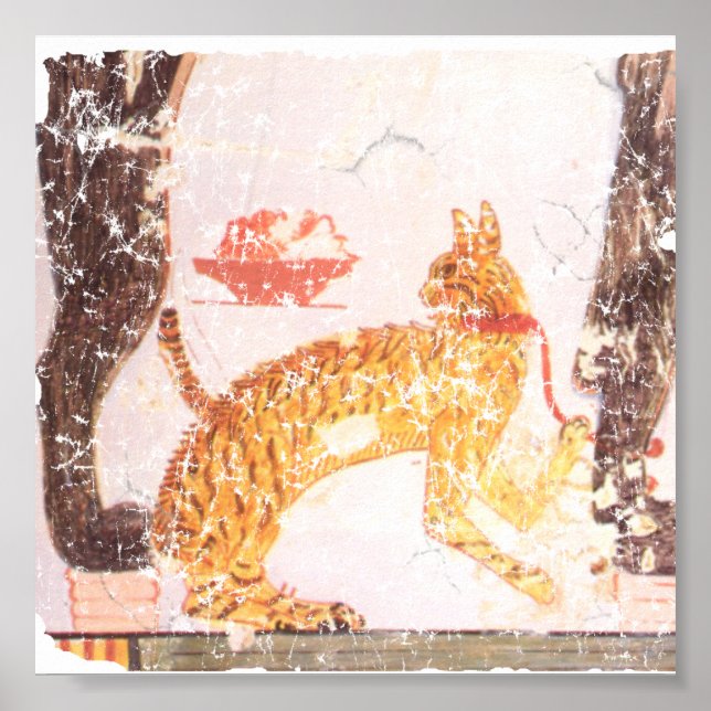 cat with collar poster (Front)