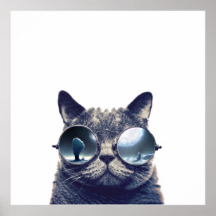Cat with cool sunglasses poster