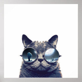 Cat with cool sunglasses poster