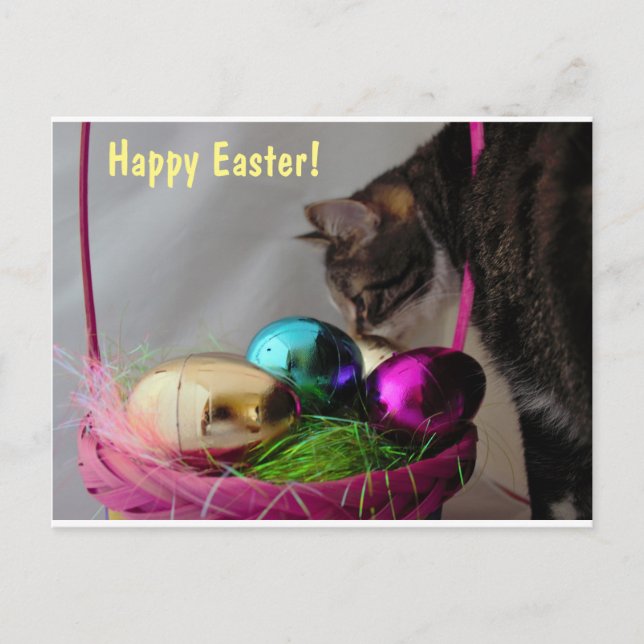 Cat with Easter Basket Holiday Postcard (Front)