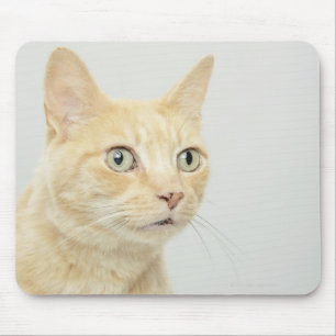 Cat with eyes open wide, close-up mouse pad