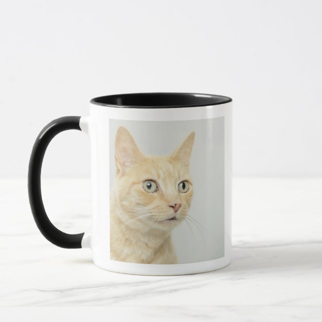 Cat with eyes open wide, close-up mug (Left)