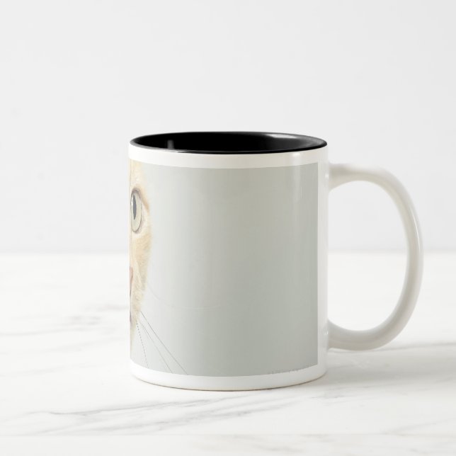 Cat with eyes open wide, close-up Two-Tone coffee mug (Right)