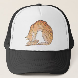 cat with fish trucker hat