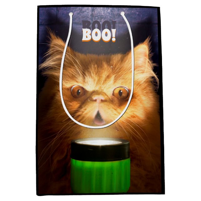 Cat With Flashlight Medium Gift Bag (Front)