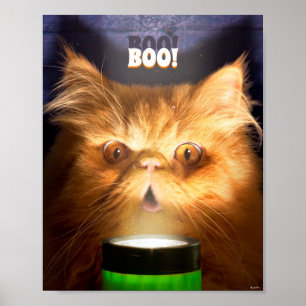 Cat With Flashlight Poster