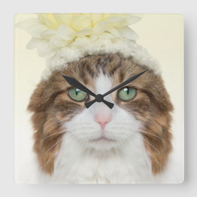 Cat With Flower Hat Square Wall Clock (Front)