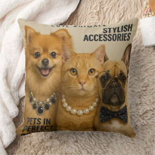 Cat with friends on magazine cushion