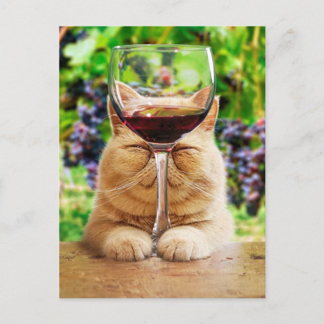 Cat With Glass of Wine Invitation Postcard (Front)