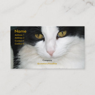 Cat with Golden Eyes Business Card