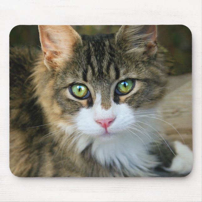 Cat With Green Eyes Mouse Pad (Front)