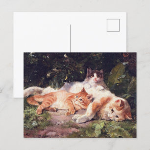 Cat with Kittens Fine Art Postcard