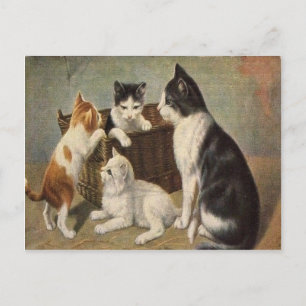 Cat With Kittens in Basket Vintage 1900's Postcard