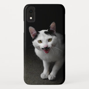 Cat with Moustache iPhone XR Case