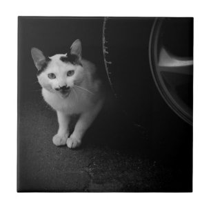 Cat with Moustache Tile