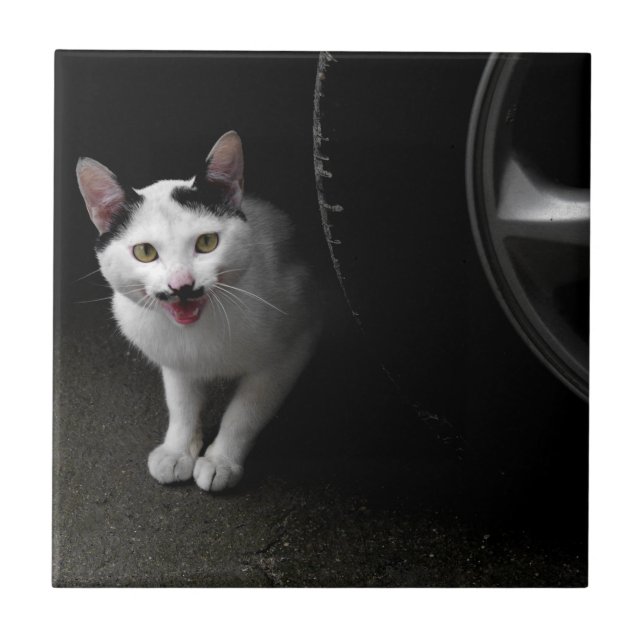 Cat with Moustache Tile (Front)