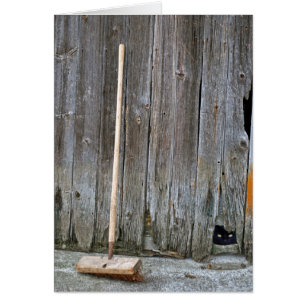 Cat with Old Barn Broom