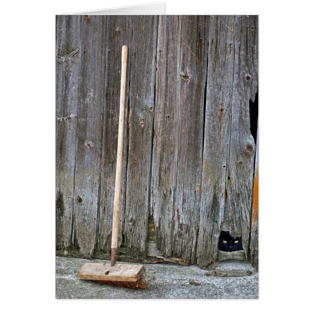 Cat with Old Barn Broom (Front)