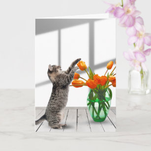Cat with Orange Tulips Card
