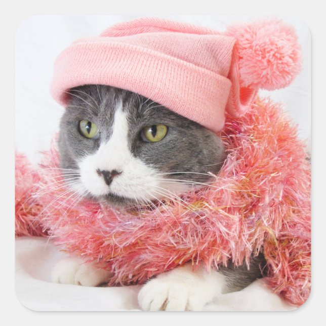 Cat with Pink Hat Square Stickers, Glossy Sticker (Front)