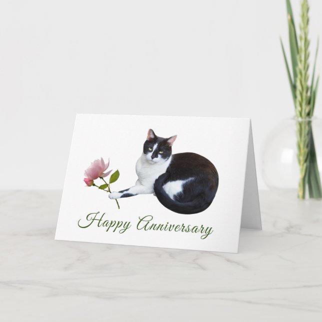 Cat with Pink Rose Anniversary Card (Front)