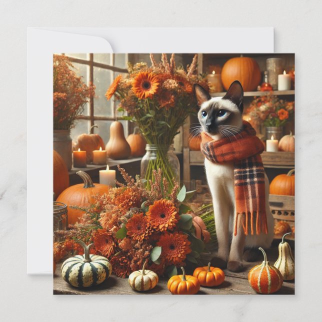 Cat with Pumpkins for Thanksgiving Holiday Card (Front)