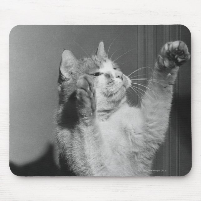 Cat with raised paws (B&W) Mouse Pad (Front)
