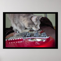 Cat with Red Electric Guitar