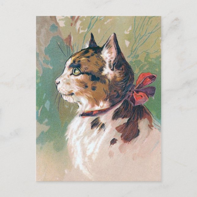 Cat with Red Ribbon Vintage Illustration Postcard (Front)
