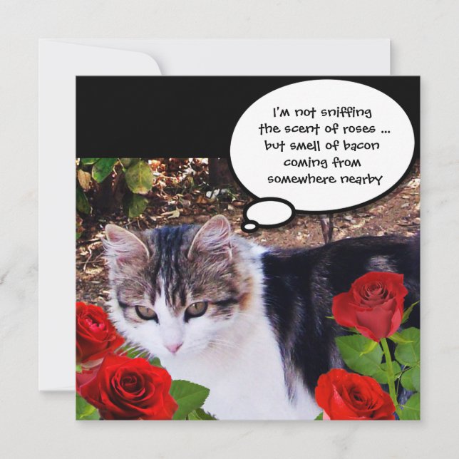 CAT WITH RED ROSES BACON BRUNCH PARTY INVITATION (Front)