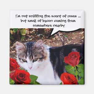 CAT WITH RED ROSES MAGNET