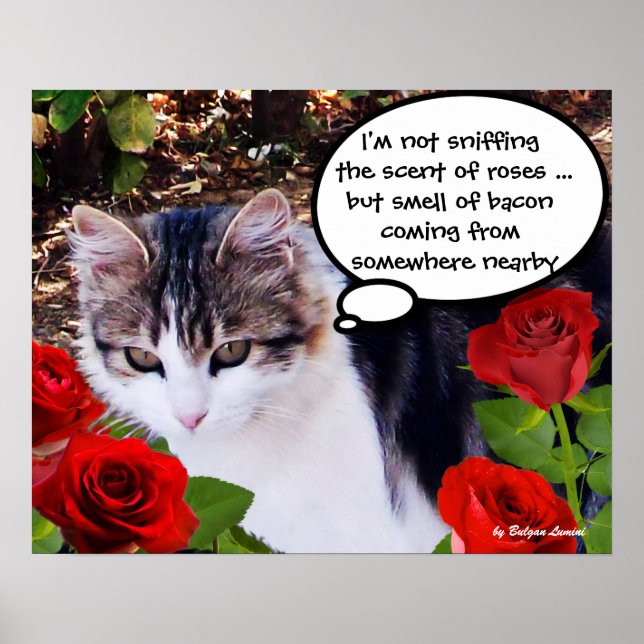 CAT WITH RED ROSES POSTER (Front)