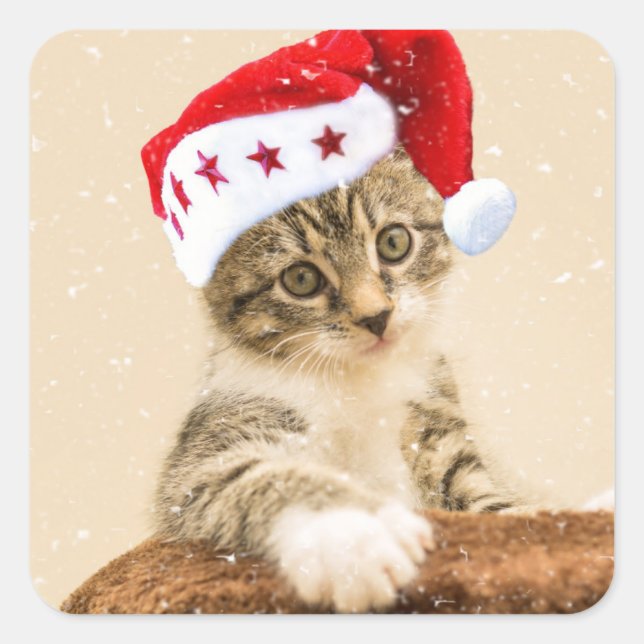 Cat with santa cap square sticker (Front)
