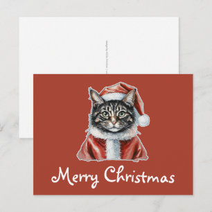 Cat With Santa Claus Outfit - Christmas 1 Postcard